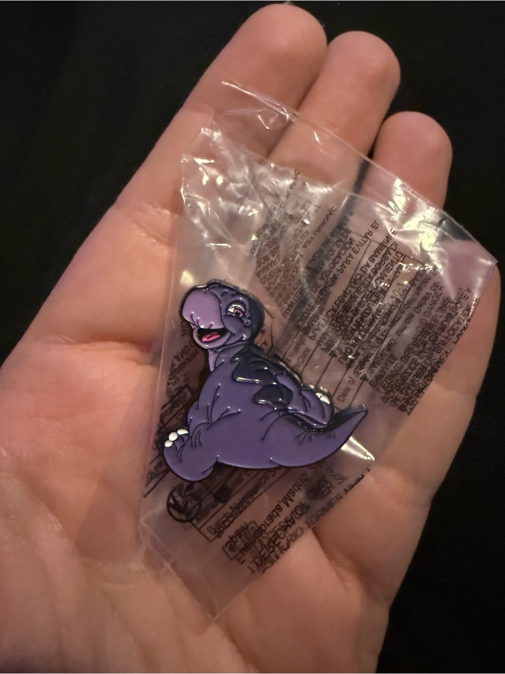 🌟Bundle Sale Land Before Time Pin